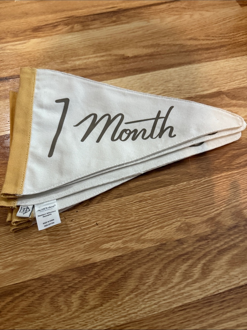 Hearth & Hand Cream and Mustard Newborn Milestone Pennants Double-sided